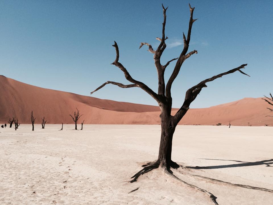 Foto Namib Wüste